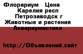 Флорариум › Цена ­ 650 - Карелия респ., Петрозаводск г. Животные и растения » Аквариумистика   